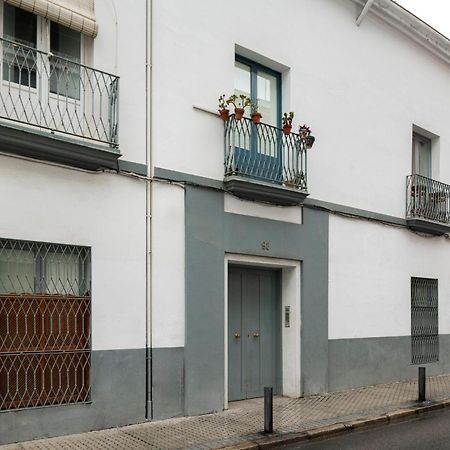 Alohamundi Pasion Apartment Seville Exterior photo